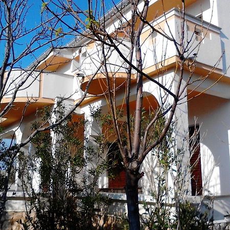 Apartments Kresimir Beauty With Shadow Trees And Parking Place Pag Town Zewnętrze zdjęcie